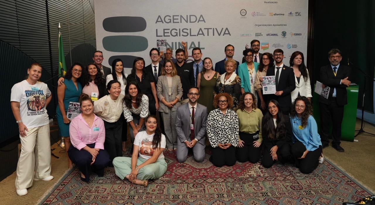 Equipe envolvida no lan&ccedil;amento