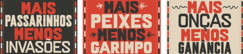 Mais passarinhos, menos invasões. Mais peixes, menos garimpo. Mais onças, menos ganância