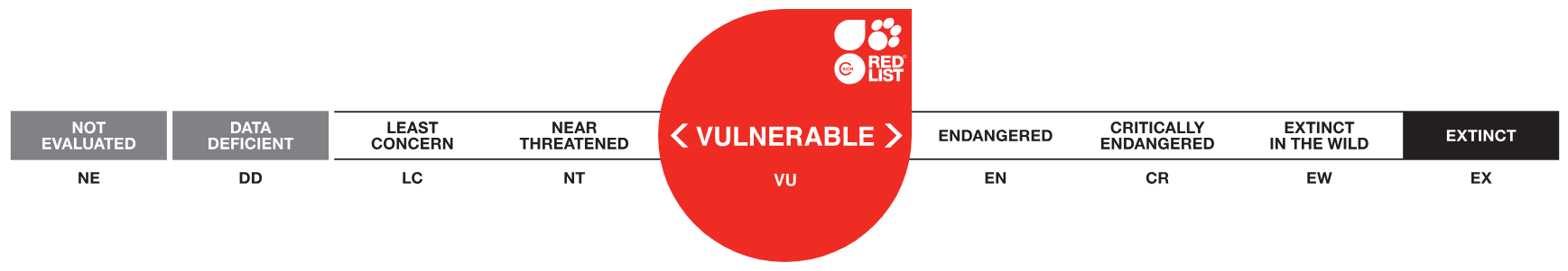 Régua IUCN mostra queixada em situação de vulnerabilidade